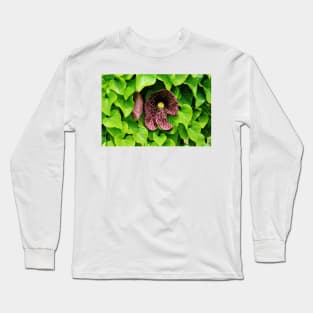 Dutchman's Pipe Vine Long Sleeve T-Shirt